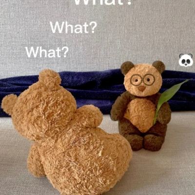 战争伙伴正版下载