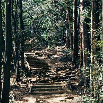 妖精城市内购破解版下载