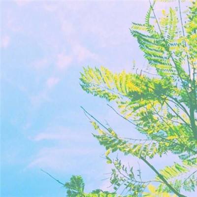 乐牛黑暗起源手机版下载